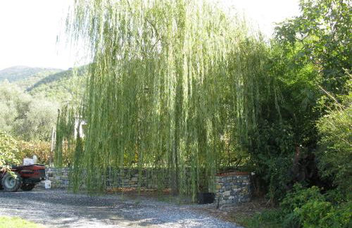 Agriturismo La Vigna - Foto 34