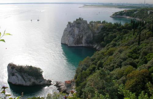 Residence Villa Susy - Foto 22