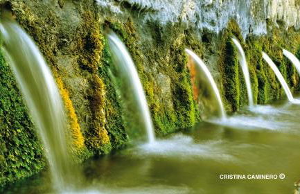 La Remulla - Foto 16