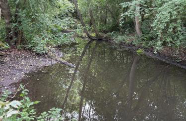 Little Vine Cottage in the grounds of Leeds Castle - Foto 9