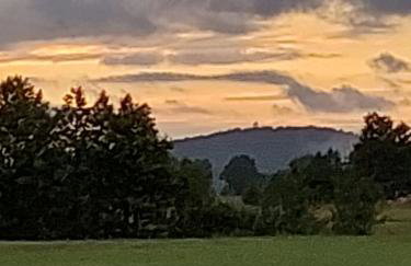 Przytulisko - Foto 8