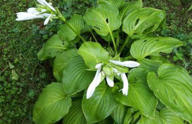 Studio apartman CENTAR - Foto 45