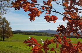 Stilvolle Fewo Vogelnest, barrierefrei, Smart-TV, Parkplatz - Foto 25