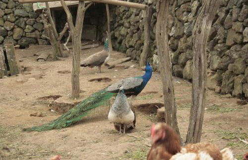 Quinta Rico - House II - Photo 50