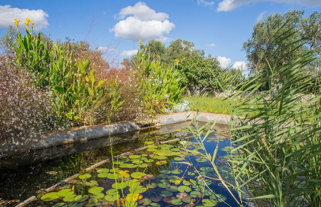 Azienda Agricola Spirdo - Foto 43