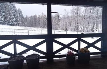 Wiśniowe Zacisze - Agroturystyka - Photo 52
