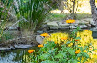 Villa Marco - Foto 72