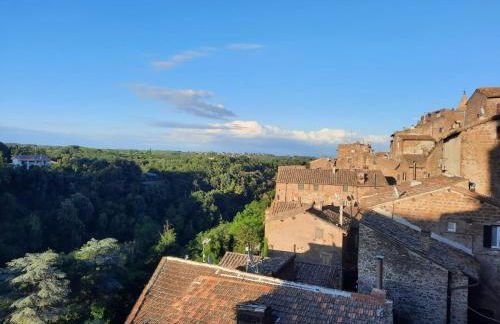 Viccinella House - Foto 16