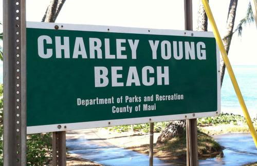 Maui Tranquility II - Photo 34