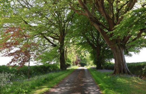 Lynch Cottage - Foto 40