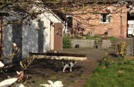 Ferienwohnung mit Garten in Köln - Foto 27