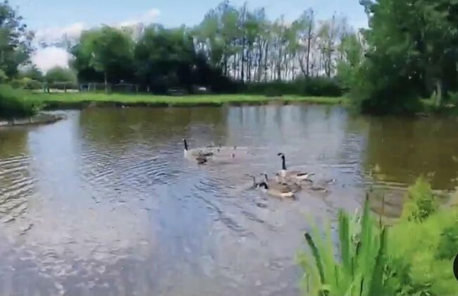 Remarkable 2-bed Villa Caravan in Driffield - Photo 26