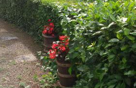 Complesso colonico Pogginano - Foto 22