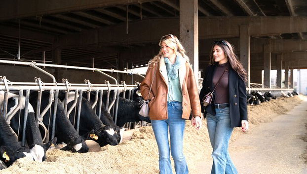 Excursión privada de un día y almuerzo: Degustación de queso parmesano, vino y vinagre - Foto 3