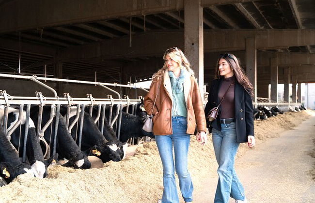 Excursión privada de un día y almuerzo: Degustación de queso parmesano, vino y vinagre - Foto 3