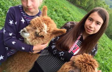 Casas Rurales Prieto - Foto 40