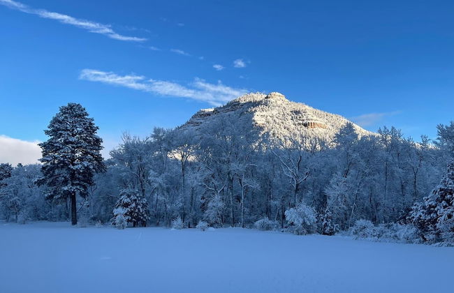 NEW 3bed 2bath With Creek and Open Spaces - Foto 19