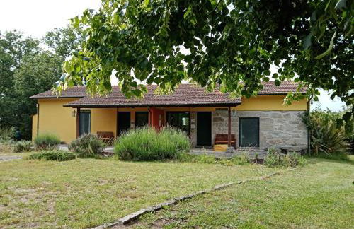 Casa das Palmeiras - Pedagogic Farm - Foto 72