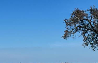 Villa des pins - Foto 8