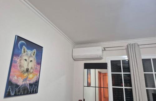 Linda Paisagem - Foto 49