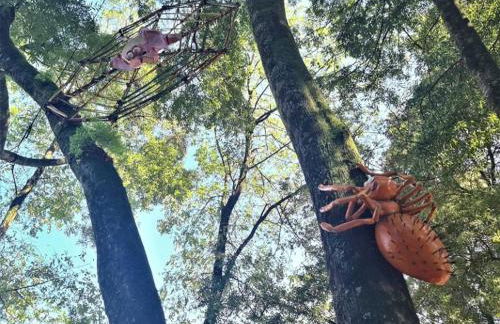 Estudio Camelia - Foto 36