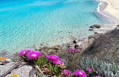 Mare e Montagna - Foto 34