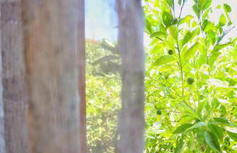 Casa Magnolia - INCANTO MEDITERRANEO vicino al MARE - Foto 7