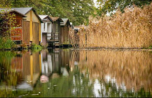 Kugelhaus Tamika - Sauna, Whirlpoolwanne und Kamin am Tollensesee - Foto 6