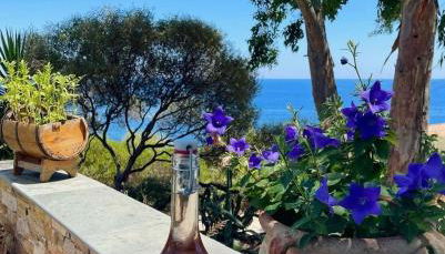 Residence VILLA MOROSI - Favone - Foto 4