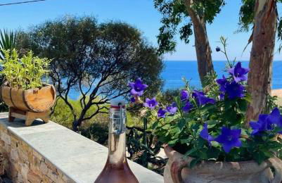 Residence VILLA MOROSI - Favone - Foto 4