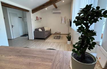 Le Saint Pierre, T2 chic et rénové au coeur du centre ville - Foto 11