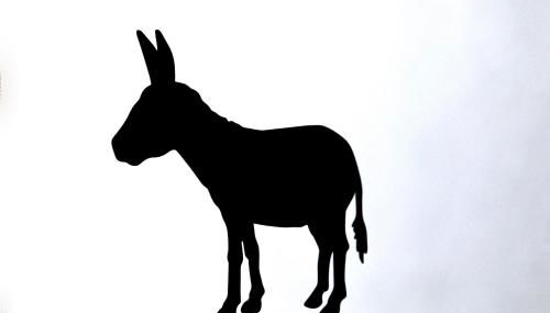 Antiga Casa da Burra - Foto 2