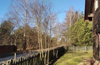 Białowieża Spanie na sianie Puszcza Białowieska - Foto 18