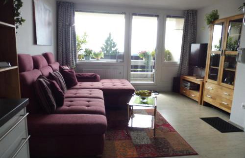 Komfortable Wohnungen und Studio in Sankt Englmar - Foto 69