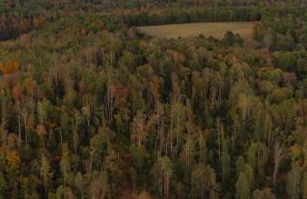 Afton Peak - Foto 16