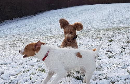Ferienwohnung am Klosterweg Rhein-Westerwald - Foto 8