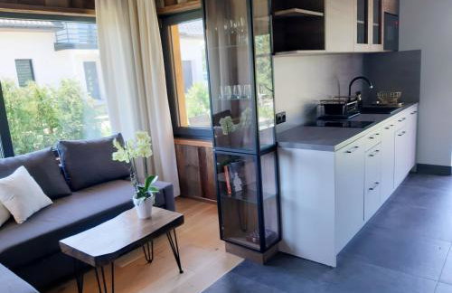 Willa Maciejka - Domek Narciarski - Foto 27