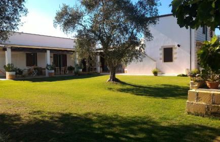 Masseria Vignenove - Foto 11