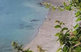 Beautiful, spacious 3 bed Brixham apartment - Photo 39