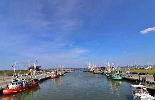 Ferienwohnungen "Zur Friesen Freude" - nur für Feriengäste - Foto 32