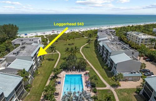 Loggerhead 543 - Gorgeous Beachfront Residence at Loggerhead Cay - Foto 15