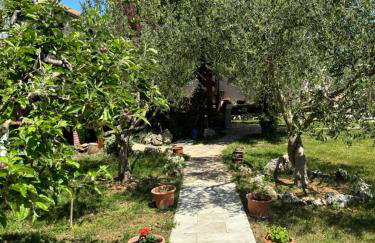 Studio Apartmani Sladakovic - Foto 47