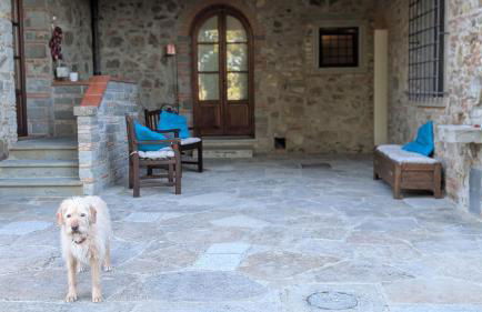 Agriturismo Amici Miei - Foto 75