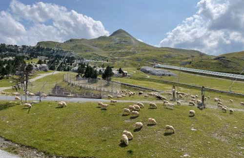 Pyrénées Cœur de station GR10 randonnées - Foto 14