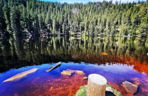 Traumhafte Maisonette-Wohnung im Schwarzwald - Foto 48