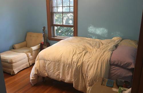 Spacious 4 Bedroom Victorian in Boston - Foto 4