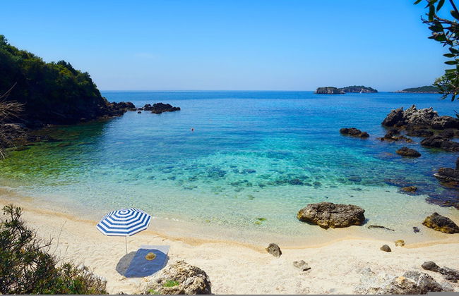 White Orchid Vanda in Vola - Photo 22