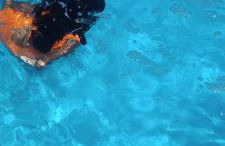 Casa na praia com quintal amplo e piscina - Foto 16