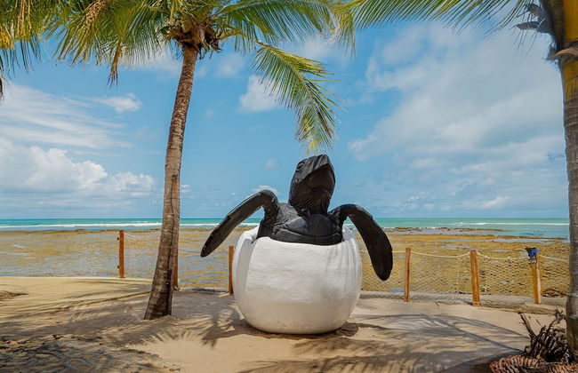 PF47 Linda Casa 5 Suítes -Praia do Forte - Photo 55