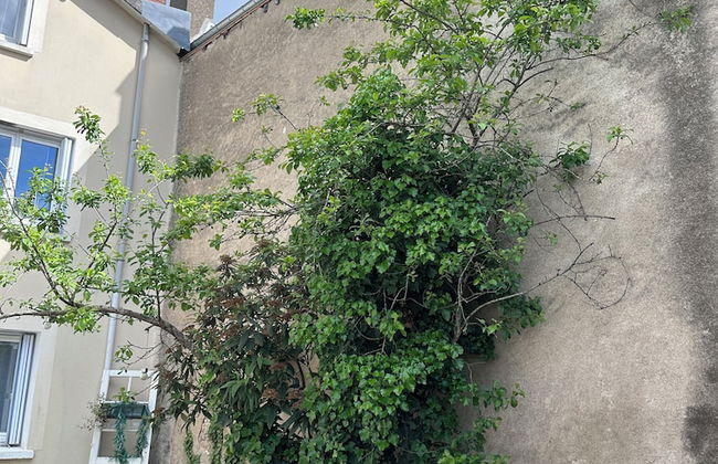 Séjours & Affaires Orléans PrestigeHost - Foto 8